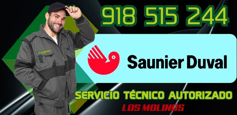 servicio tecnico Saunier Duval Los Molinos